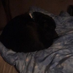 Meet your Posher, Juanita